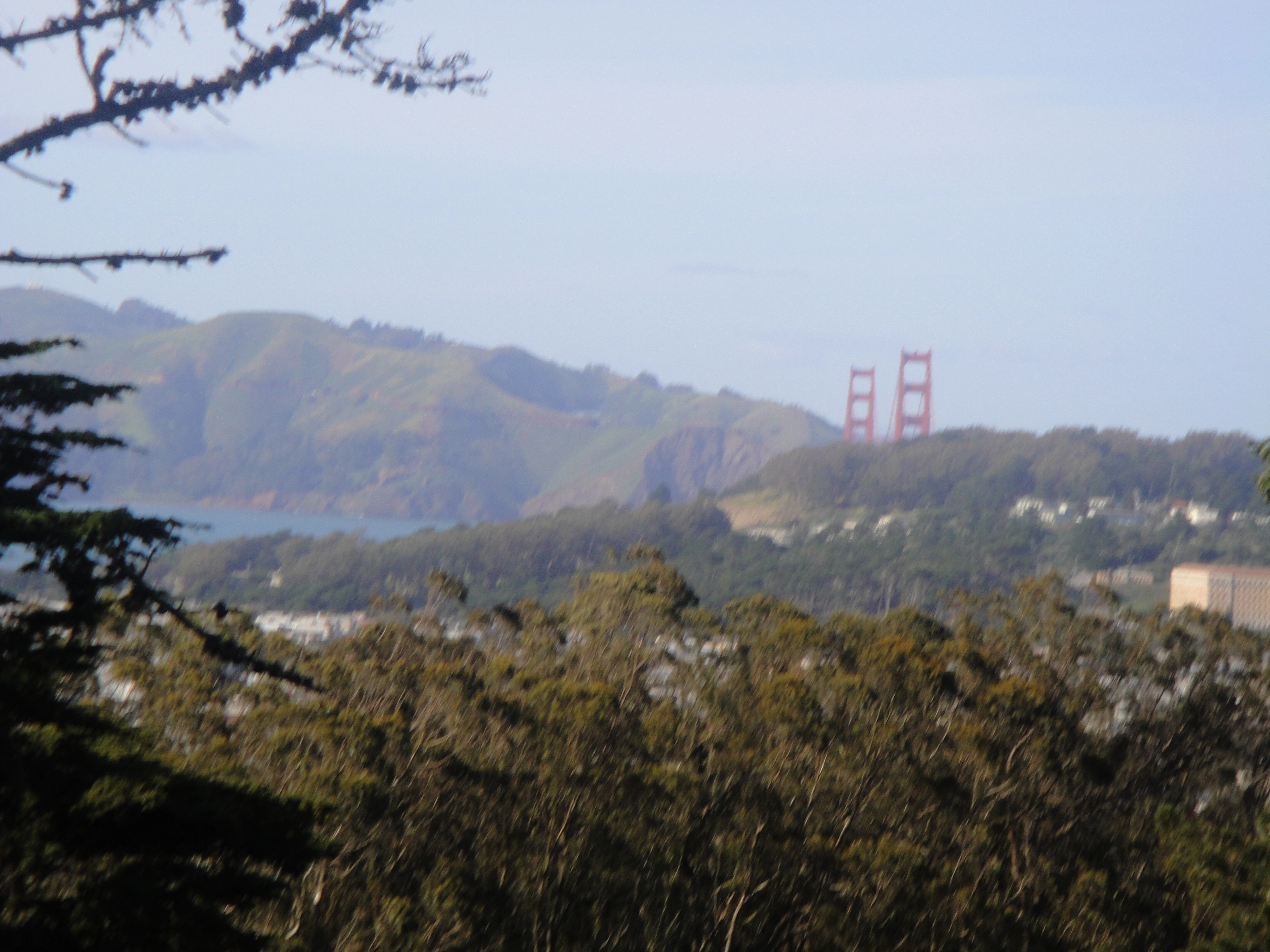 sf